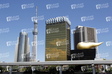 Sightseeing Tokio