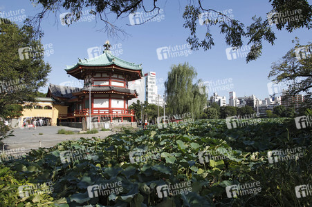 Sightseeing Tokio