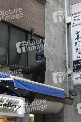 Sightseeing Tokio
