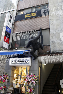 Sightseeing Tokio