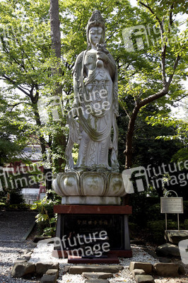 Sightseeing Tokio