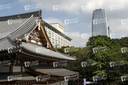 Sightseeing Tokio