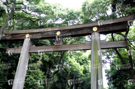 Sightseeing Tokio