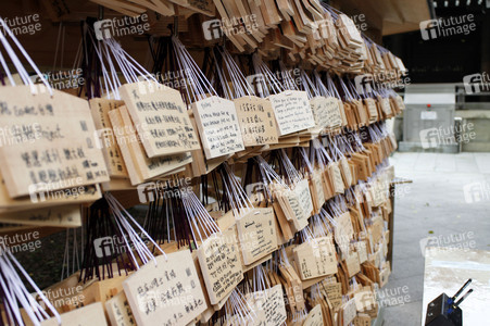 Sightseeing Tokio