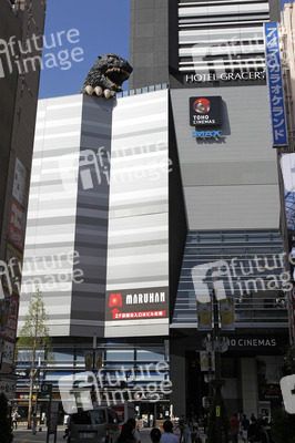 Sightseeing Tokio
