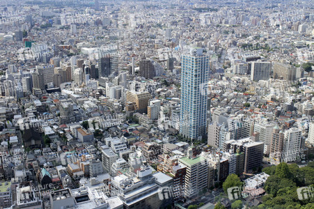 Sightseeing Tokio