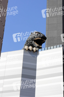 Sightseeing Tokio