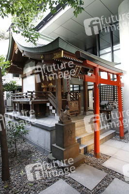 Sightseeing Tokio