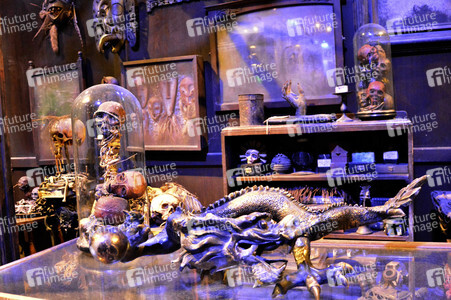 Harry Potter Studio Tour in Leavesden