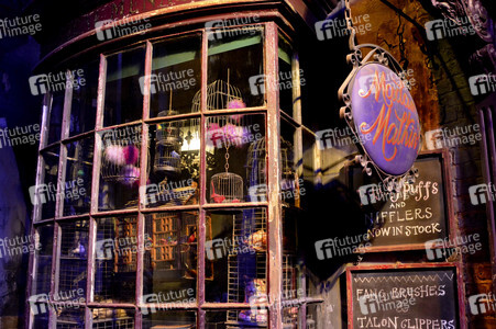 Harry Potter Studio Tour in Leavesden
