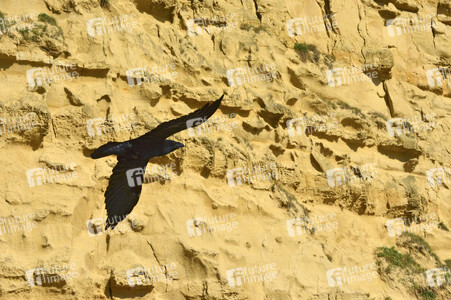'Broadchurch' Drehort in West Bay