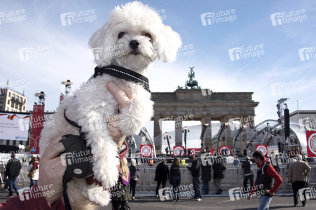 Fest zum Tag der Deutschen Einheit 2015 in Berlin