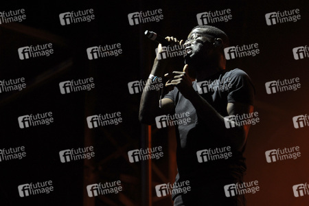 Austin City Limits Music Festival 2015 in Austin