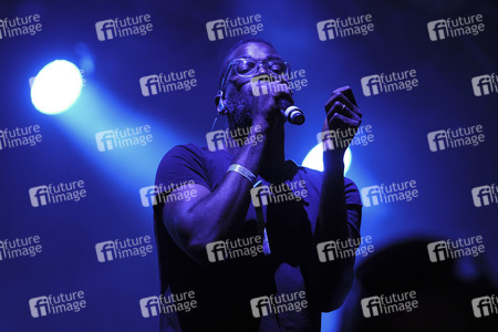 Austin City Limits Music Festival 2015 in Austin