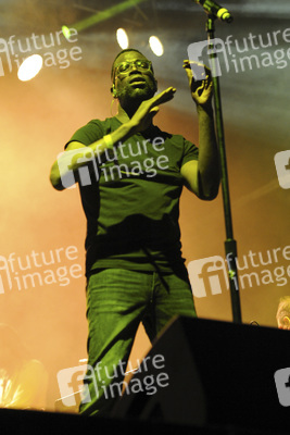 Austin City Limits Music Festival 2015 in Austin