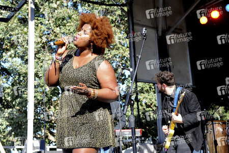 Austin City Limits Music Festival 2015 in Austin