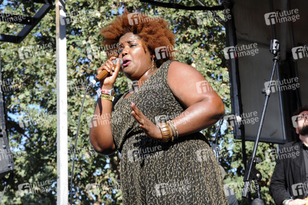 Austin City Limits Music Festival 2015 in Austin