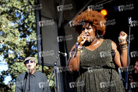 Austin City Limits Music Festival 2015 in Austin