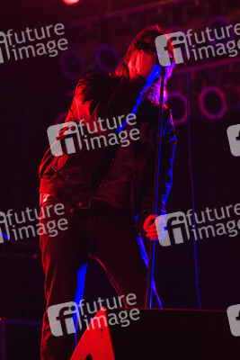 Austin City Limits Music Festival 2015 in Austin