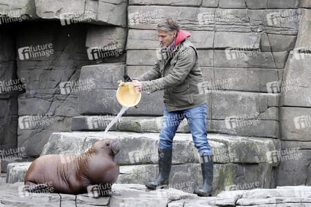 Jörg Pilawa tauft Walross in Hamburg