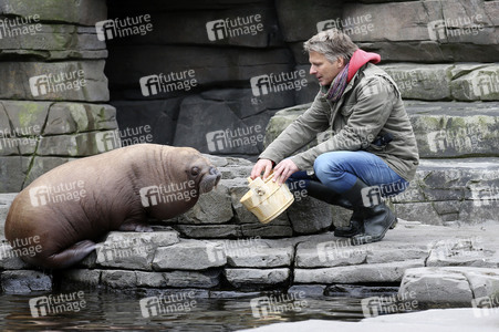 Jörg Pilawa tauft Walross in Hamburg