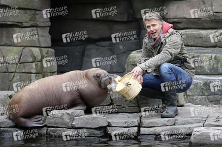 Jörg Pilawa tauft Walross in Hamburg