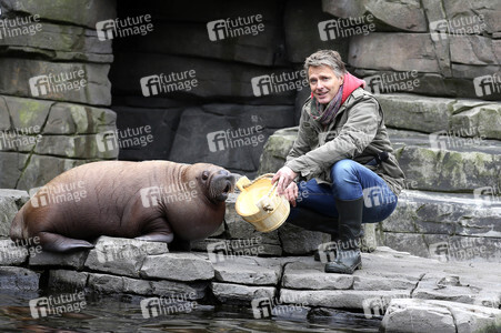 Jörg Pilawa tauft Walross in Hamburg