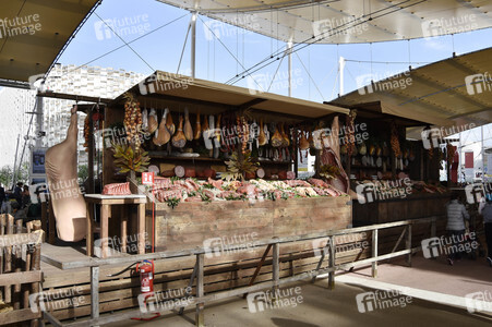 Expo Milano 2015