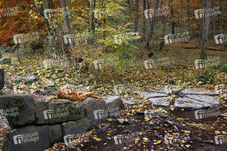 NATURE ART: Laubwald / Deciduous Forest Bodypainting