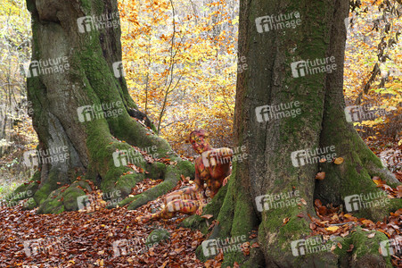NATURE ART: Laubwald / Deciduous Forest Bodypainting
