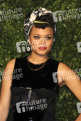 12. CFDA/Vogue Fashion Fund Awards in New York