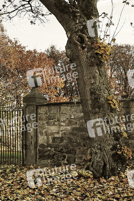 DOOR ART: Herbsttor / Autumn Gate Bodypainting