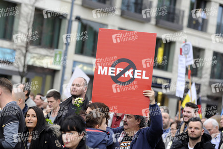 AfD Demo in Berlin