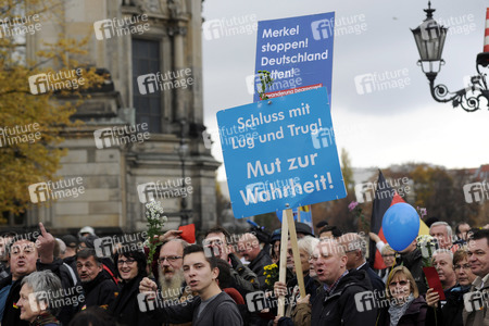 AfD Demo in Berlin