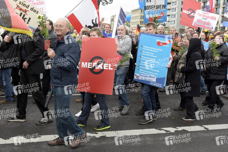 AfD Demo in Berlin