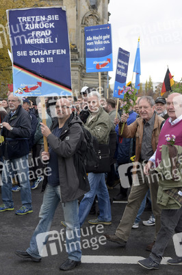 AfD Demo in Berlin