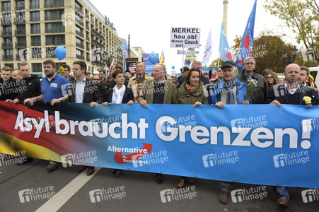 AfD Demo in Berlin