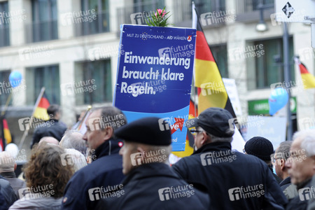 AfD Demo in Berlin