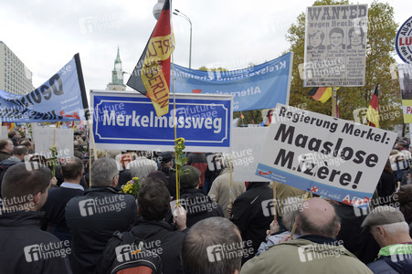AfD Demo in Berlin