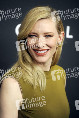 Filmpremiere 'Carol' in New York