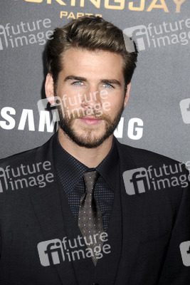 Filmpremiere 'Die Tribute von Panem - Mockingjay: Teil 2' in New York