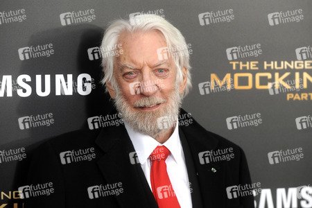 Filmpremiere 'Die Tribute von Panem - Mockingjay: Teil 2' in New York