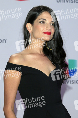 16. Latin Grammy Awards in Las Vegas