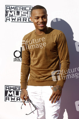 American Music Awards 2015
