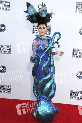 American Music Awards 2015
