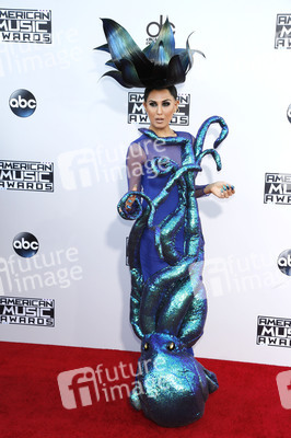 American Music Awards 2015