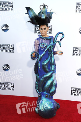 American Music Awards 2015