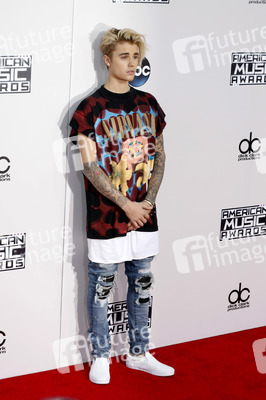 American Music Awards 2015