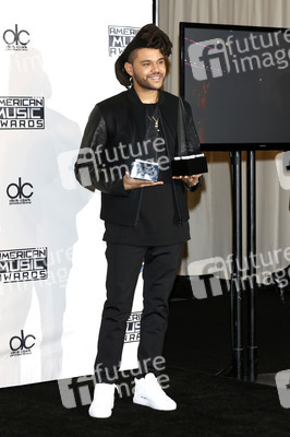 American Music Awards 2015