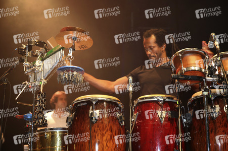 Luis Ribeiro, Percussion